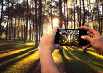 Ekrani që kupton dritën: Pajisjet telefonike po bëhen më inteligjente se kurrë.