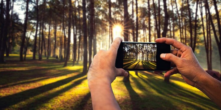 Ekrani që kupton dritën: Pajisjet telefonike po bëhen më inteligjente se kurrë.