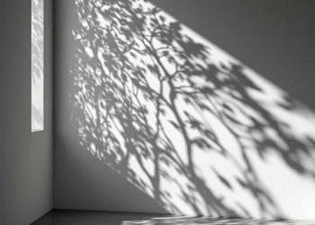 Fjala e harruar – “Hije”