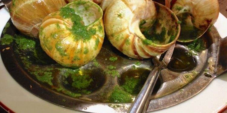 Vjedhje e pazakontë në Francë: zhduken kërmijtë e fermës me vlerë 100 mijë dollarё