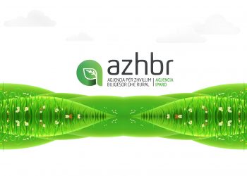 Digjitalizim me dosje kartoni: Saga e pafund e AZHBR-së