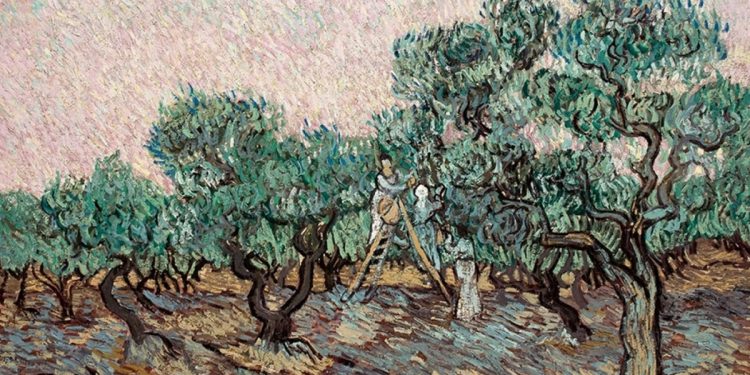 Van Gogh në qendër të një beteje ligjore: tabloja “The Olive Harvest” e Muzeut Goulandris përballet me padi në Nju Jork