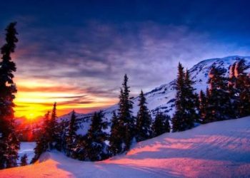 VKM kundër punës: Në 7 ditë jave, Shqipëria 4 i bën pushim