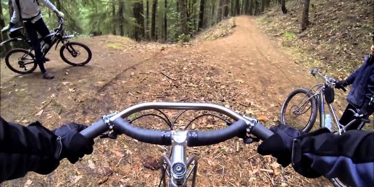 Gjermani: Tre të mitur dhunohen dhe poshtërohen, nën hetim një politikan lokal i AfD-së