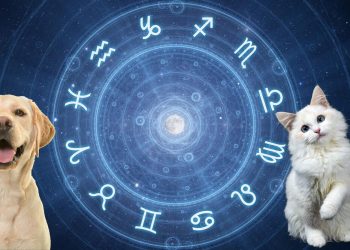 Kafsha juaj e preferuar sipas shenjës së horoskopit