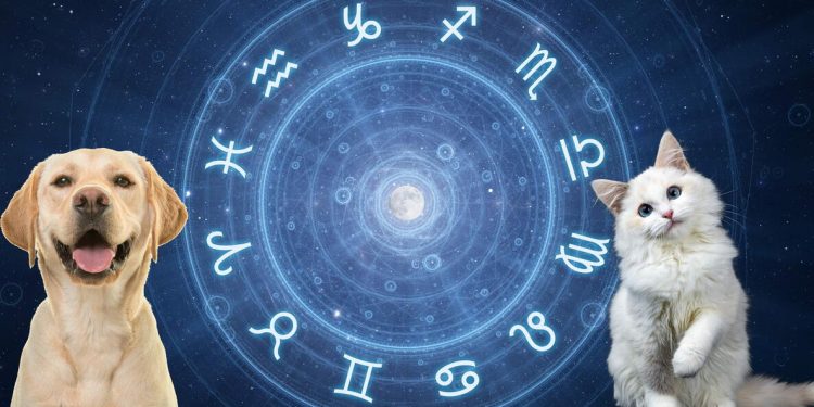 Kafsha juaj e preferuar sipas shenjës së horoskopit