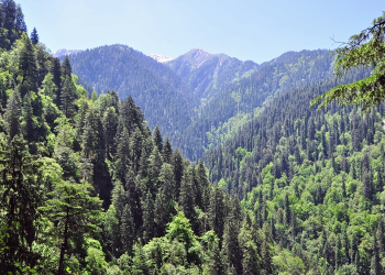 Lajme të mira nga bota që kalojnë në heshtje: suksese që japin shpresë për të ardhmen