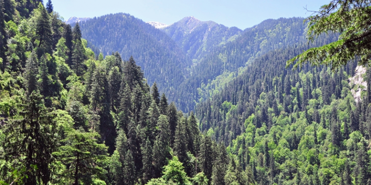 Lajme të mira nga bota që kalojnë në heshtje: suksese që japin shpresë për të ardhmen