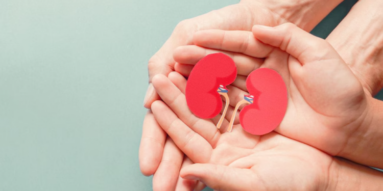 Një veshkë për një të panjohur: dhurimi “samaritan” që i kthen jetën një gruaje