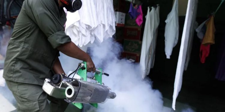 Kubë: Epidemia e dengës dhe çikungunjës mund të ketë shkaktuar mbi 8,700 vdekje