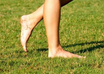 Ecja zbathur në natyrë: Njё teori qё nuk duhet humbur 