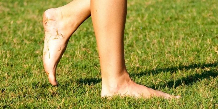 Ecja zbathur në natyrë: Njё teori qё nuk duhet humbur 