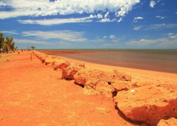 Natyra nuk përballon më: Australia përjeton pasojat e nxehtësisë ekstreme