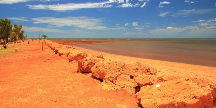 Natyra nuk përballon më: Australia përjeton pasojat e nxehtësisë ekstreme