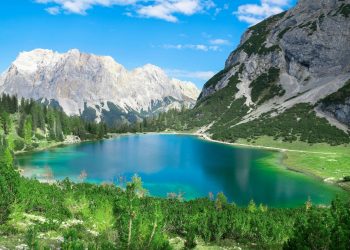 Veronika dhe misteri i inteligjencës së fshehur mes alpeve austriake që po habit shkencën