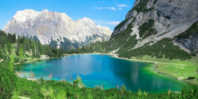 Veronika dhe misteri i inteligjencës së fshehur mes alpeve austriake që po habit shkencën