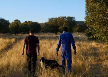 Ndërsa Europa deporton, Spanja zgjedh një rrugë tjetër: amnisti për 500 mijë emigrantë