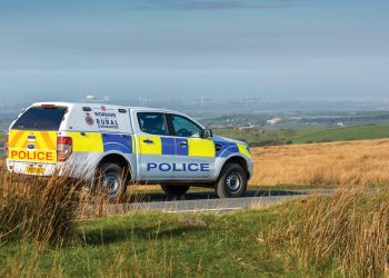 Policia heton vrasjen “barbare” të qengjave, fermeri i tronditur nga ngjarja