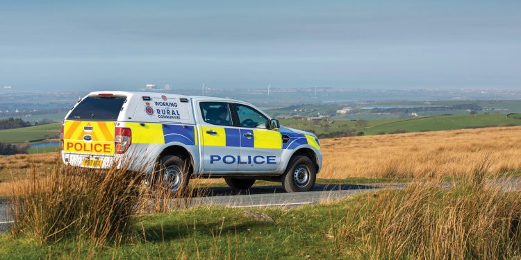 Policia heton vrasjen “barbare” të qengjave, fermeri i tronditur nga ngjarja