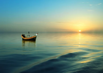 “Zhvatje “ me stil dhe VKM/Antikorrupsioni me varkë drejt Europës