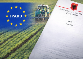 Kodi Penal, me risi dhe alibi: Neni Anti-IPARD “shpëtimtar” i korrupsionit