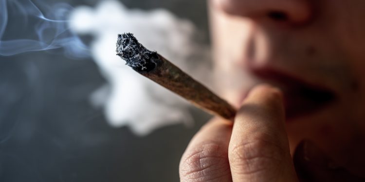 Nga paragjykim në surprizë: Studimi lidh kanabisin me shëndet më të mirë të trurit