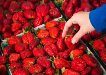 Alarm për ushqimin që hamë: Studimi zbulon pesticide “të përjetshme” në shumë fruta dhe perime