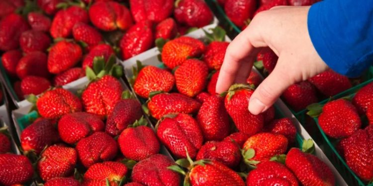 Alarm për ushqimin që hamë: Studimi zbulon pesticide “të përjetshme” në shumë fruta dhe perime