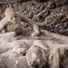 Momenti i fundit i Pompeit: 22 fytyra të ngrira në kohë rikthejnë tragjedinë e vitit 79