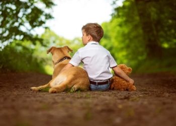 Psikologjia e lidhjes me kafshët: kur dashuria pa kushte bëhet terapi