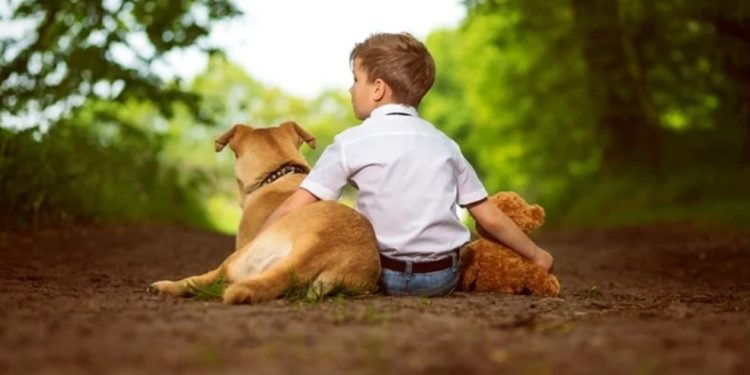 Psikologjia e lidhjes me kafshët: kur dashuria pa kushte bëhet terapi