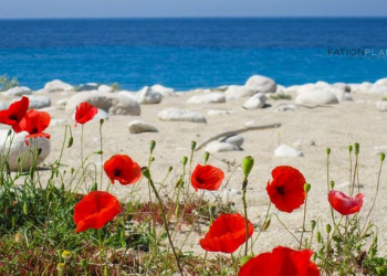 29 vite nga Tragjedia e Otrantos: kujtesë për 81 jetë të humbura në det