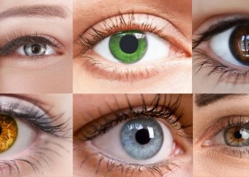 Ngjyra e syve në botë: ja sa të rrallë janë sytë jeshilë, blu apo gri