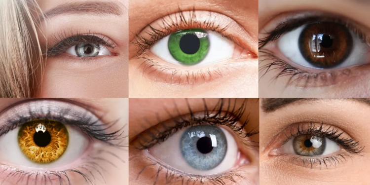 Ngjyra e syve në botë: ja sa të rrallë janë sytë jeshilë, blu apo gri