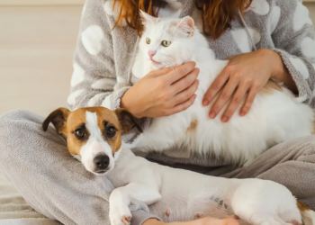Studimi i ri: A i bëjnë kafshët shtëpiake pronarët më të lumtur? Jo domosdoshmërisht