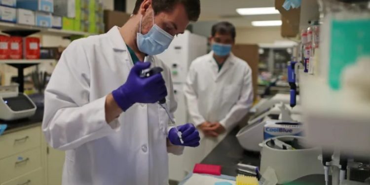 Zbulim premtues kundër kancerit: nanopjesëzat “ringjallin” imunitetin dhe zhdukin tumoret në teste laboratorike