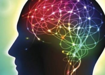 Si të mbash trurin në formë: ja çfarë rekomandojnë ekspertët për të shmangur rënien e kujtesës