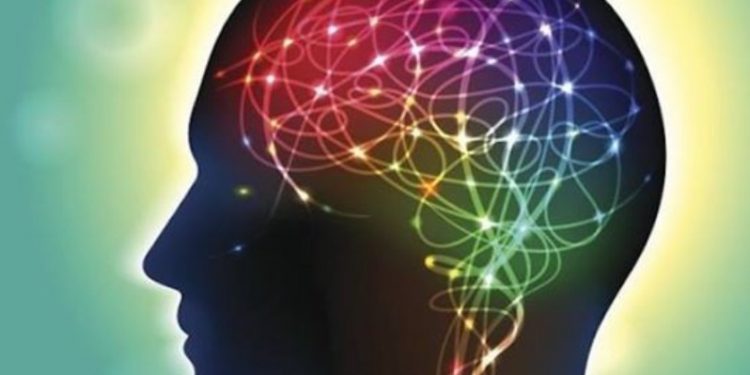 Si të mbash trurin në formë: ja çfarë rekomandojnë ekspertët për të shmangur rënien e kujtesës