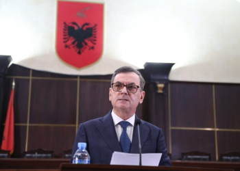 PD u kërkon ambasadave të “vёzhgojnё” Sokol Sadushin