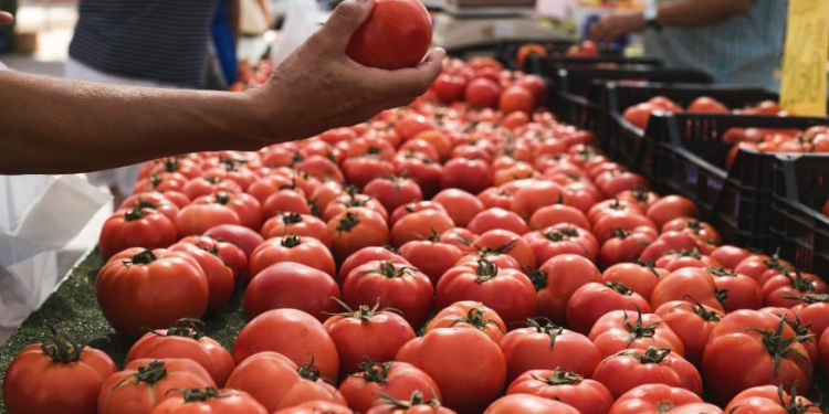 Domatja bëhet luks: çmimet “fluturojnë” në treg