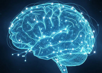 Zbulohen “gjurmët” në tru të personaliteteve të errëta: çfarë thonë studimet e fundit