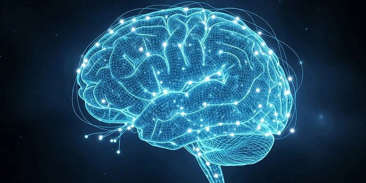 Zbulohen “gjurmët” në tru të personaliteteve të errëta: çfarë thonë studimet e fundit