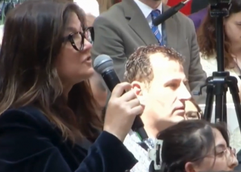 Kur nuk ke frikë nga politika: zëri i diasporës që prishi “filmin” e samitit