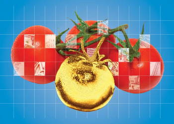 Pas Shqipërisë, edhe në SHBA domatet kthehen në luks – por për arsye krejt të tjera