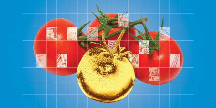 Pas Shqipërisë, edhe në SHBA domatet kthehen në luks – por për arsye krejt të tjera