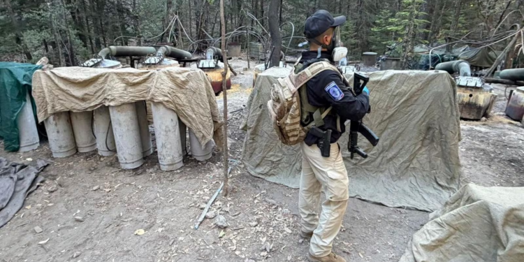 Nën hetim roli i zyrtarëve amerikanë të vrarë në Meksikë gjatë një operacioni kundër drogës