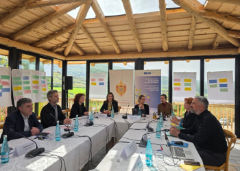 Gjykata Kushtetuese në turizëm institucional: Strasburgu si dekor, Berati si skenë