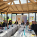 Gjykata Kushtetuese në turizëm institucional: Strasburgu si dekor, Berati si skenë