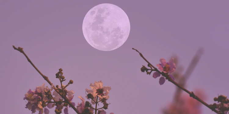 Ja si do të ndikojë Hëna e Plotë e Luleve në Akrep tek çdo shenjë e horoskopit