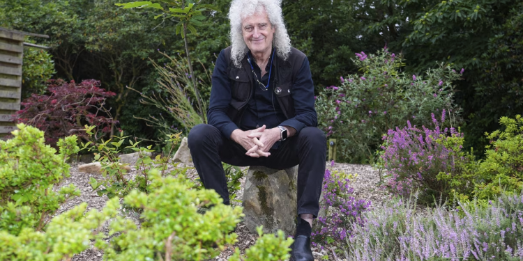 “18 centimetra që pengojnë trafikun?” Brian May përplaset me autoritetet pasi i bllokojnë fushën me lule në fshat
